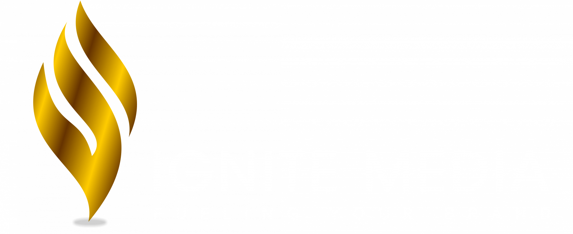 ignite media logo