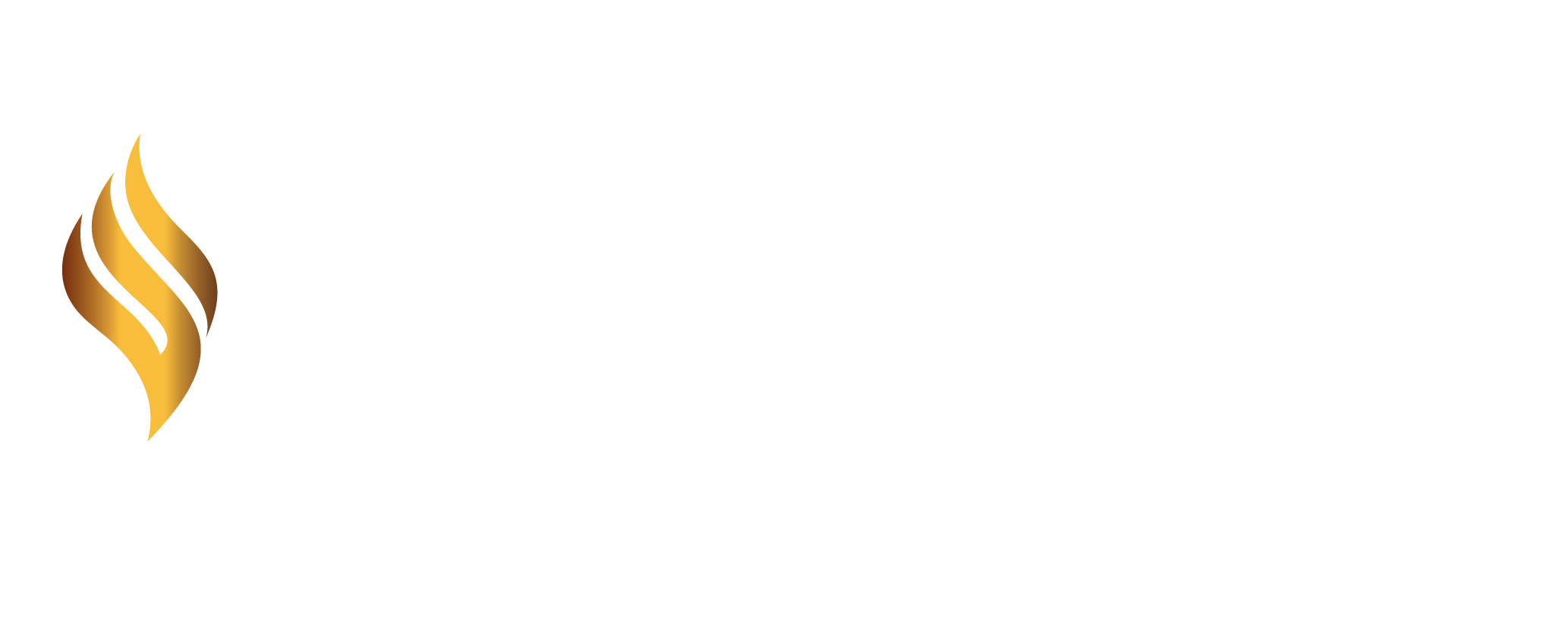 Ignite Media